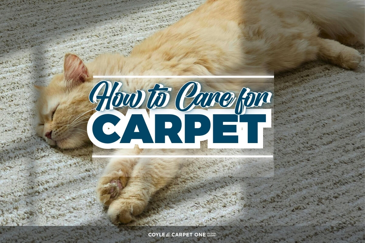 How to Care For Carpet