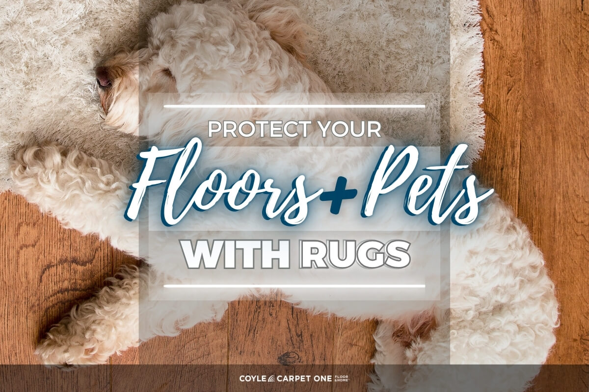 Rugs Protect Floors & Pets